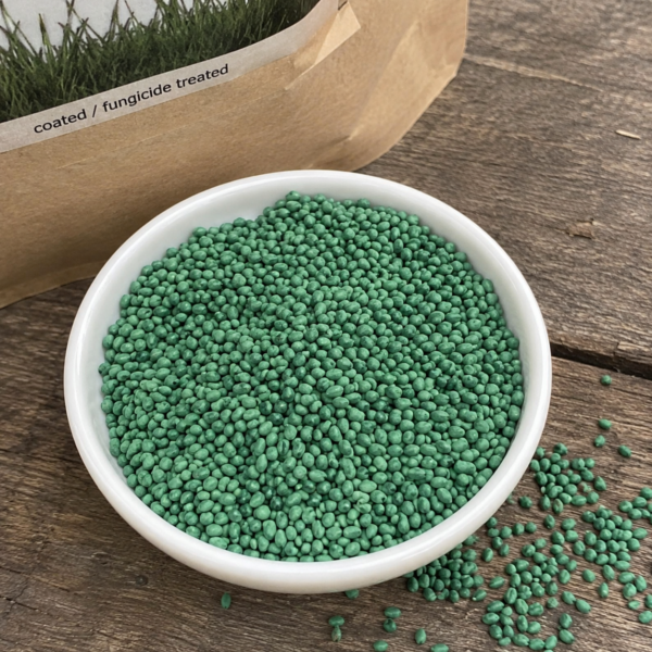 หญ้าเบอร์มิวด้า (bermuda grass)