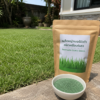 หญ้าเบอร์มิวด้า (bermuda grass)