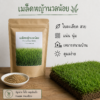 หญ้านวลน้อย (manila grass)