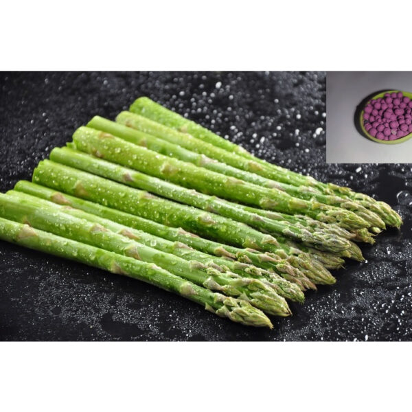 asparagus main