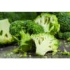 broccoli 1 broccoli 1