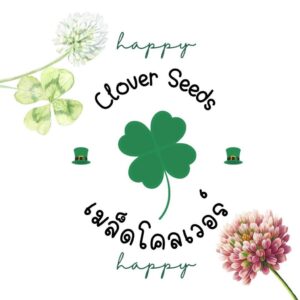 clover main clover main