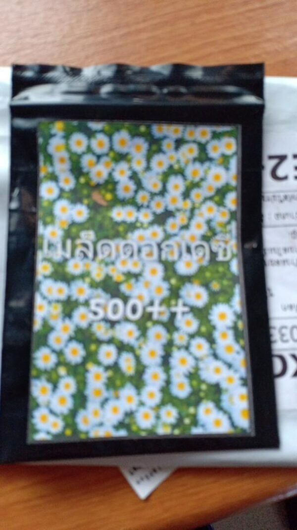 daisy 4 daisy 4