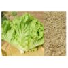 lettuce 2