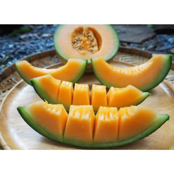 melon 1