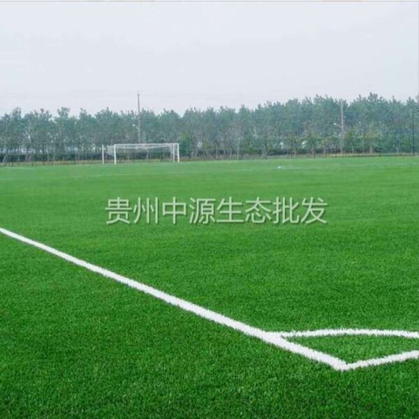 paspalum 2 paspalum 2