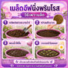 primrose 3