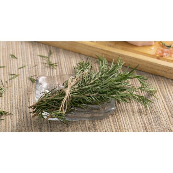 rosemary 1 rosemary 1
