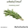 rosemary main rosemary main