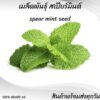 spearmint main