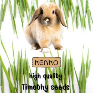 timothy main timothy main