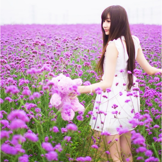 verbena 2 verbena 2