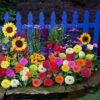 wildflower mix 4
