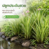 yagdang 2