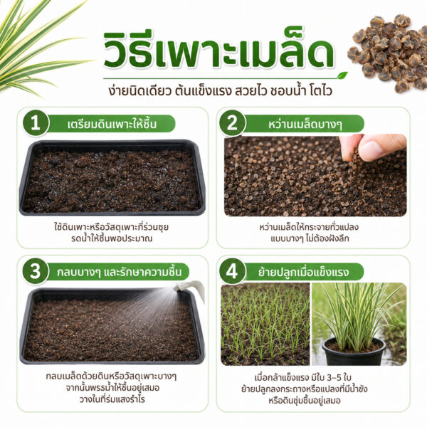 yagdang 4