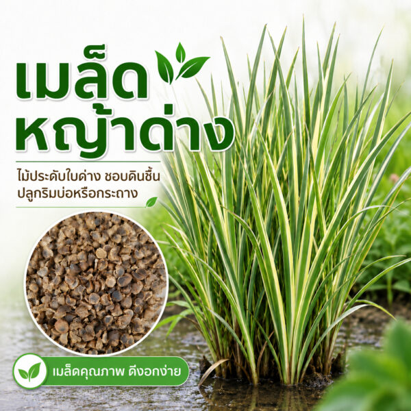 yagdang main